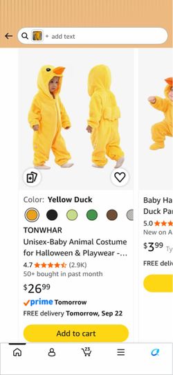 Duck costume