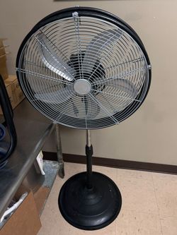 Fan