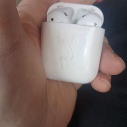 Apple Ear Buds 