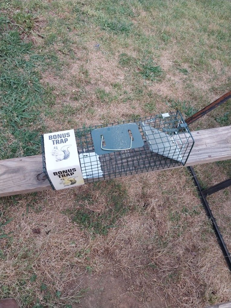 New Small Animal Trap Located In Southmont North Carolina