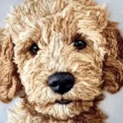 New sUpEr SWEET Goldendoodle POODLE MIX Decorative Throw Pillow 