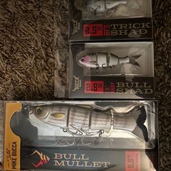 Bucca Bull Mullet, Bull Shad, and Trick Shad