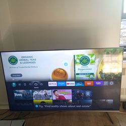 Omni Fire TV 65 in