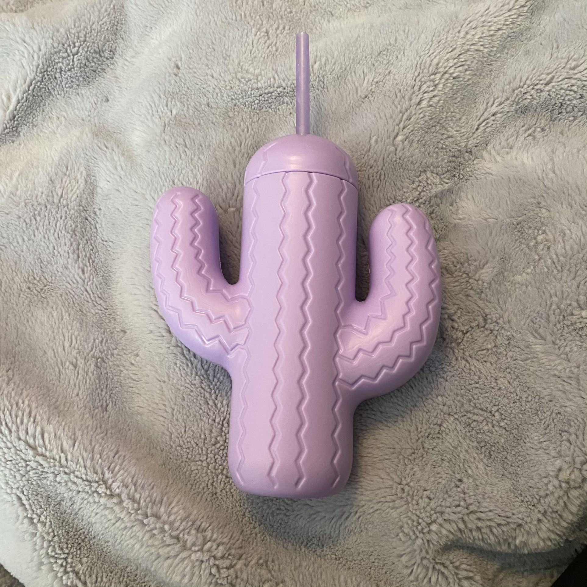 Purple Cactus Cup Pink Sky FabFitFun Spring 2021