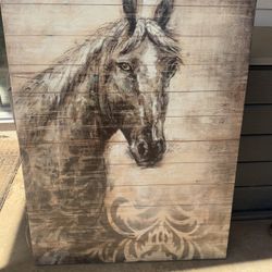 Horse Picture 