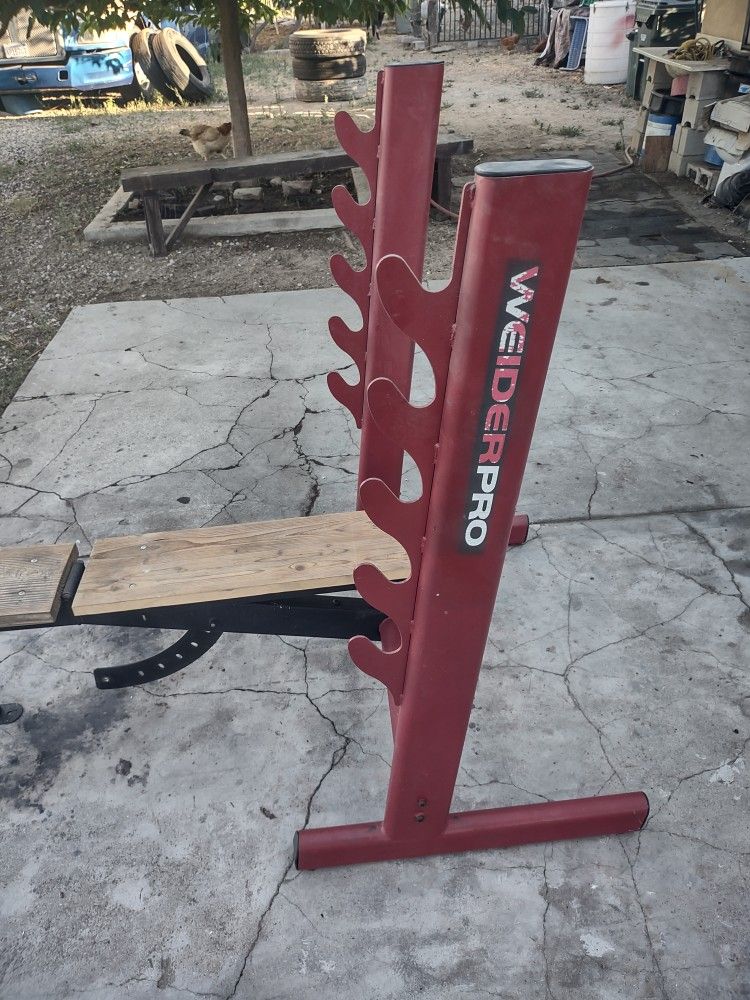 Weight Bench