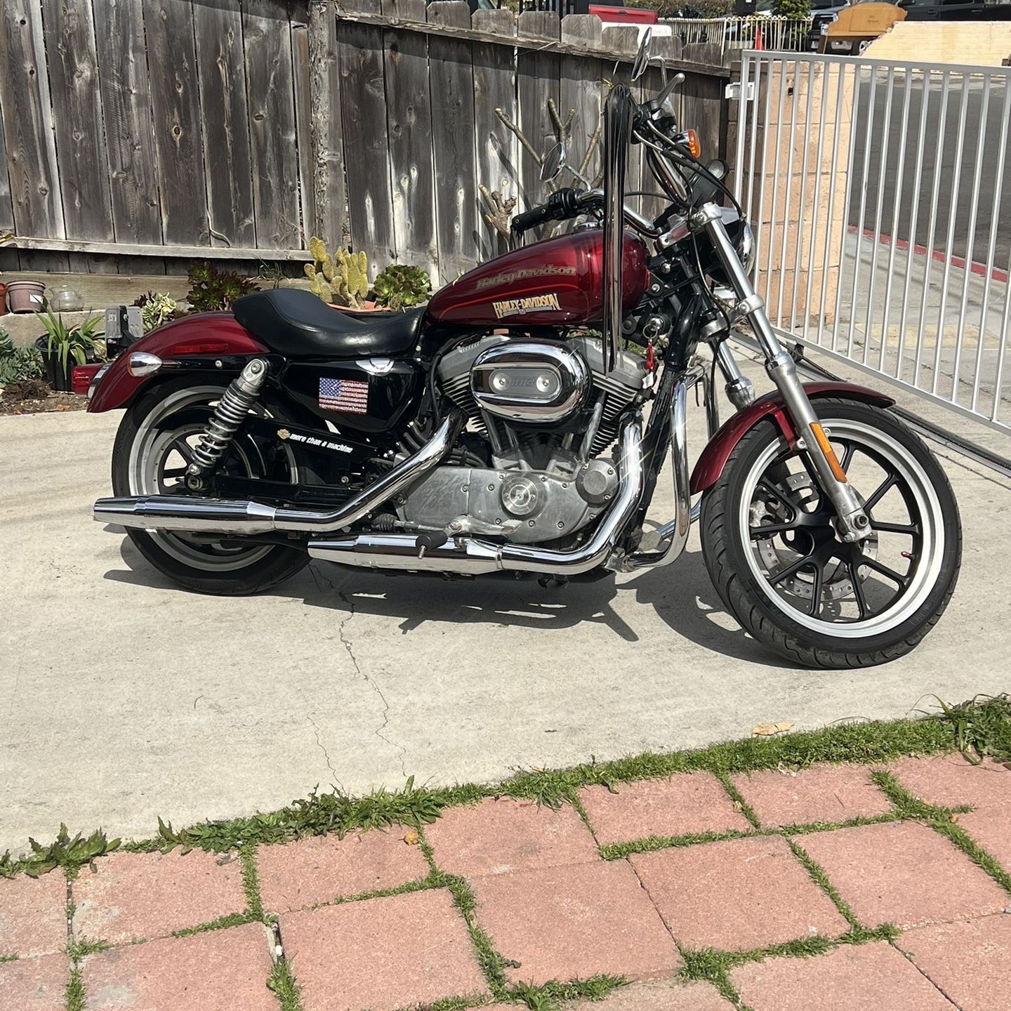 2016 Harley 883xl low