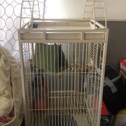 bird cage 