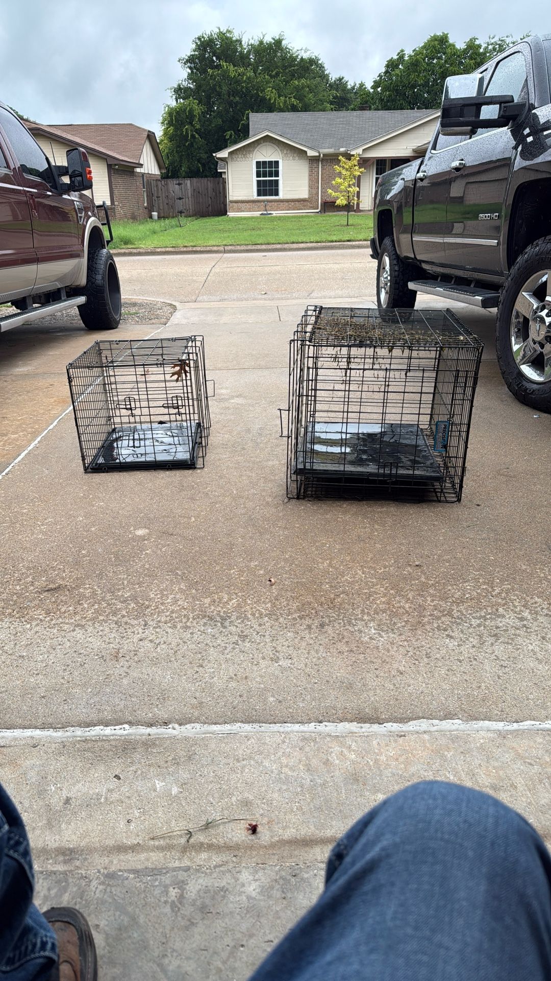 Two Metal Cage