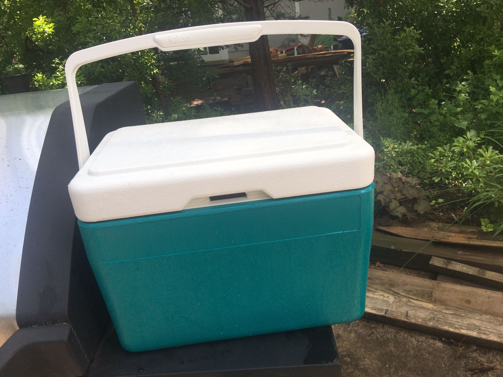 Small cooler