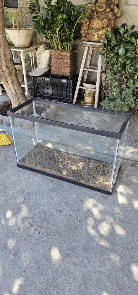 Terranium Or Fish Tank Habitat