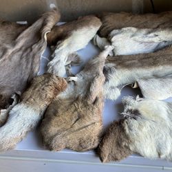 Fly Tying Materials- Fishing- Fly Fishing