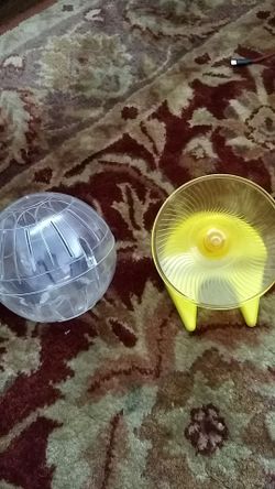Hamster ball and wheel