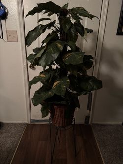 Large Artificial plant with Stand