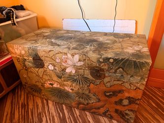 100 y/o Asian chest