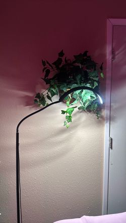 Folding light for estheticians