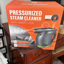 Pressurize Steam Clean