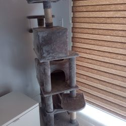 Cat Tree. Cat Scratcher. Cat House. Cat Bed.