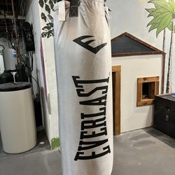 70 Lb Punching Bag Everlast