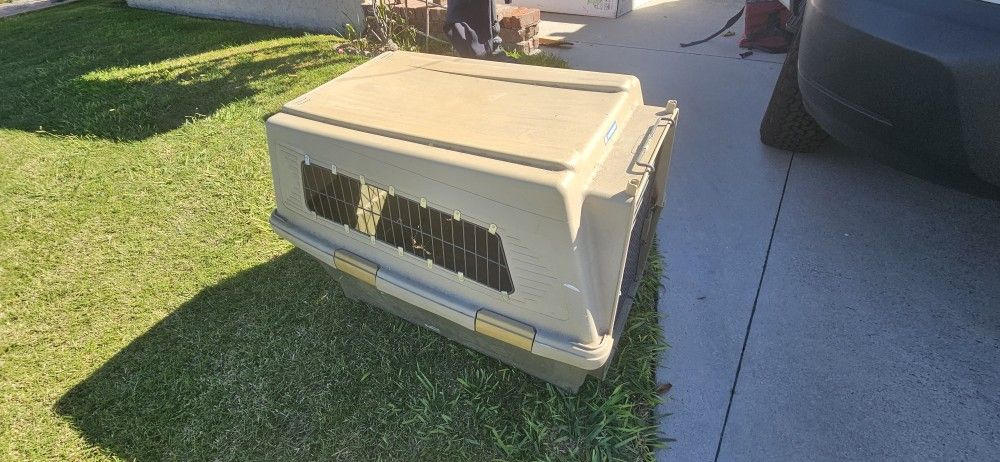 Dog Kennel