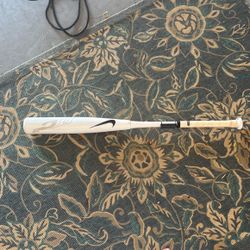 Nike Baseball Bat 