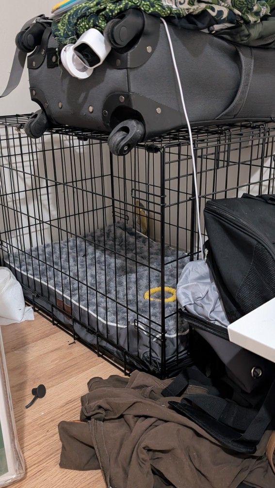 Dog cage