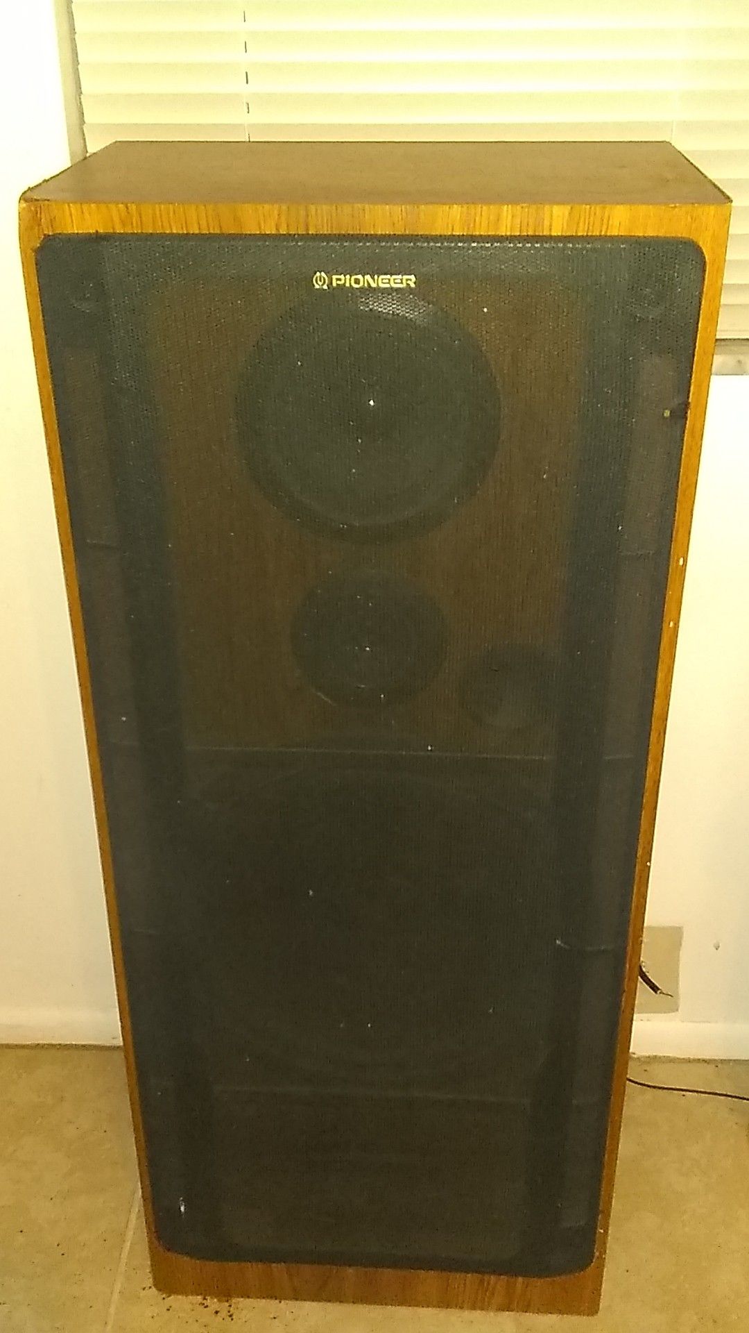 Pioneer Home Speakers
