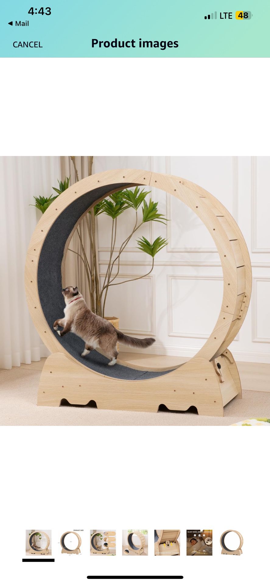 EXQ Home Cat Exercise Wheel for Indoor Cats, Diameter 39.4" Running Wheel with Locking Mechanism, Sturdy Noiseless Treadmill Roller with Carpeted Runw