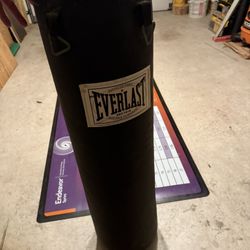 Everlast Punching Bag