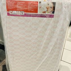 Brand New Sealed Dream On Me Inner Spring Graco Carina Collection Pack N Play Mattress, Wave Pink