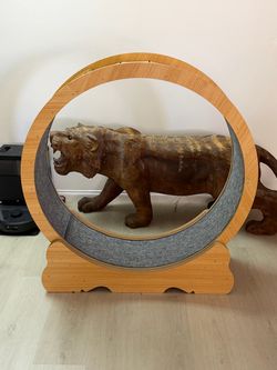 Cat Exercise wheel