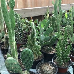 $4 each Or 12 For $40 