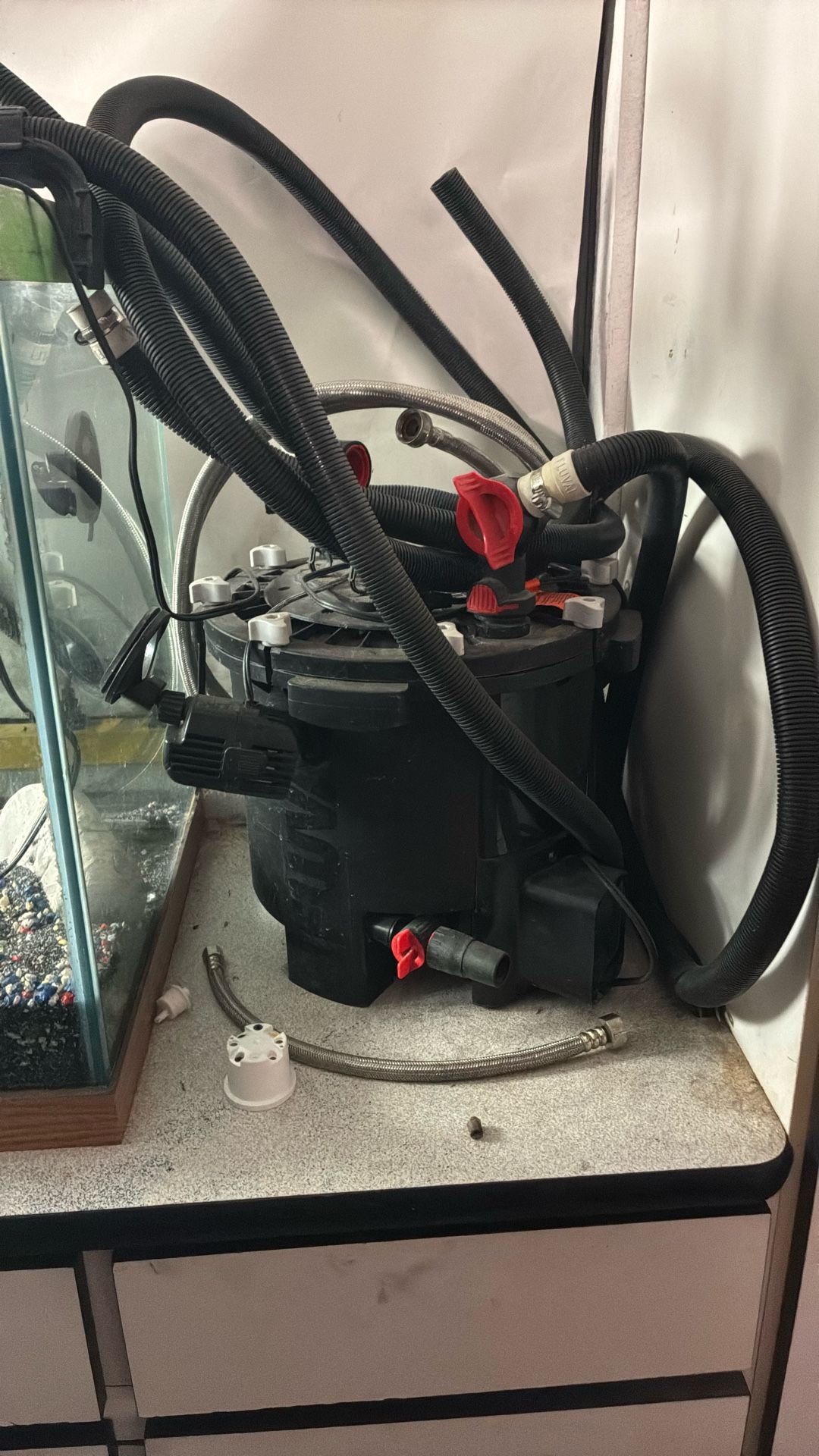 Fluval FX4 And 100 Gallon Tank For Free