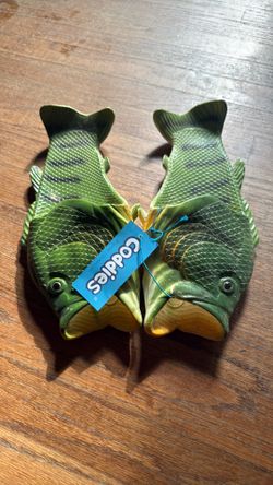 Men’s Frog Slipper Shoes