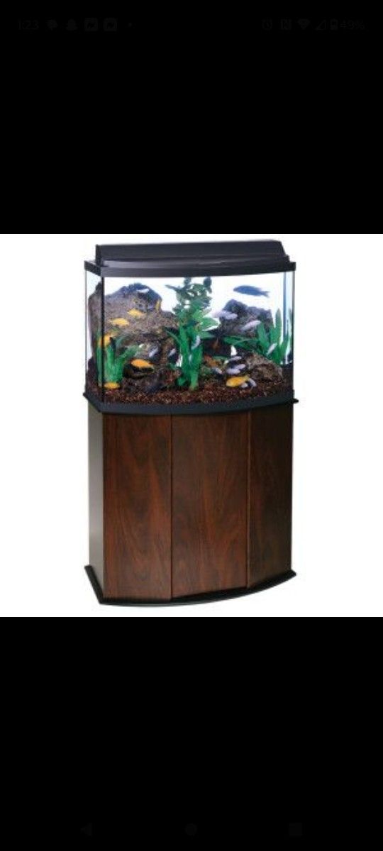 Fish Tank