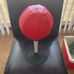 Small Suction Cup Speed Bag
