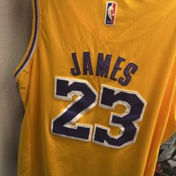 LeBron James Jersey 