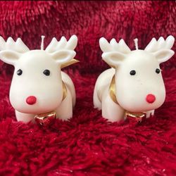 Hermosas, venas, aromáticas de Navidad