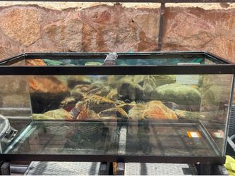 75 gallon fish tank