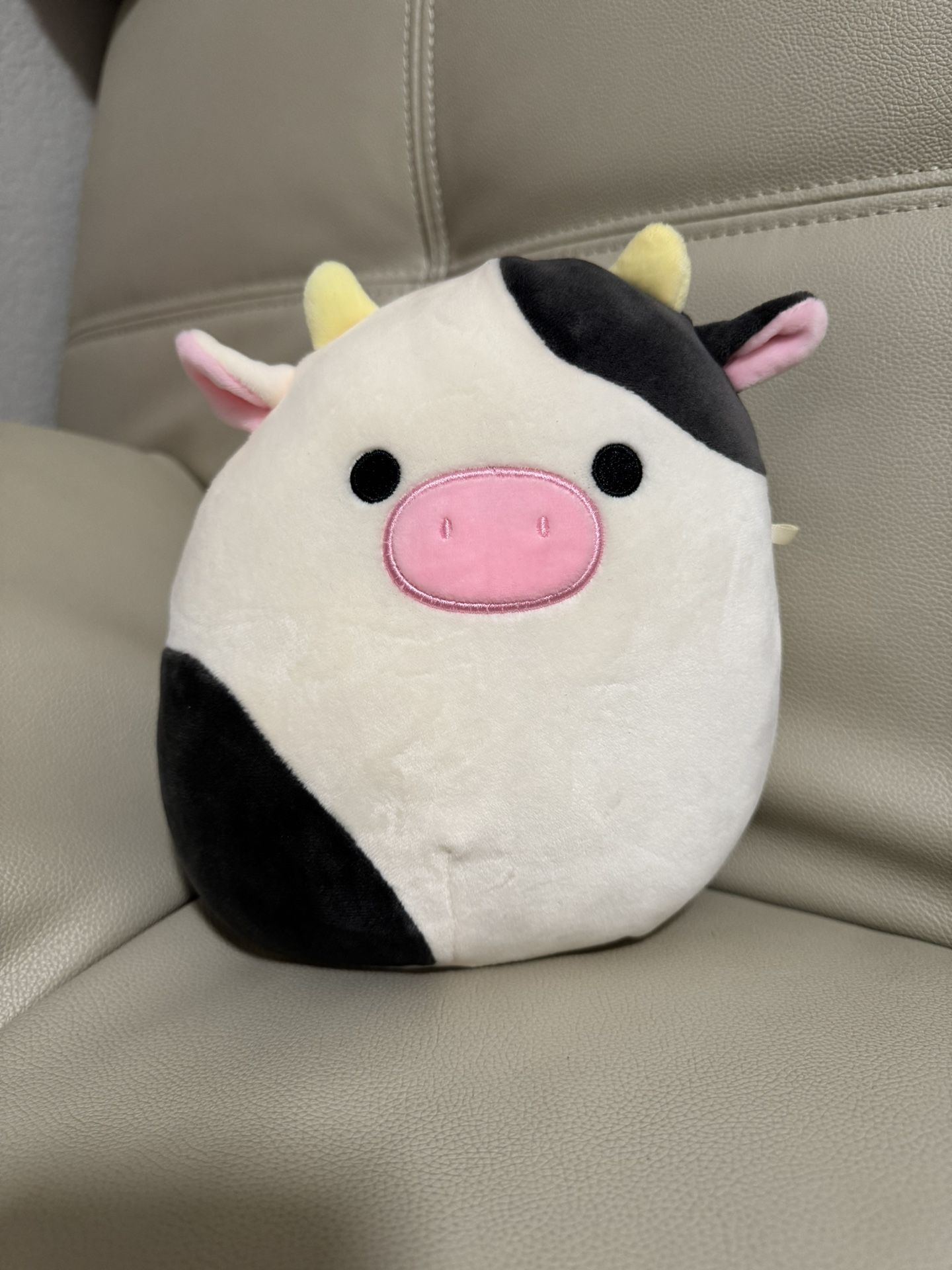 6 Squishmallow Bundle