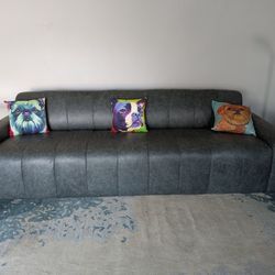 Leather Couch