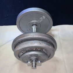 One 45 Lb Adjustable Dumbbell 