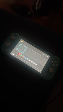 Nintendo switch lite