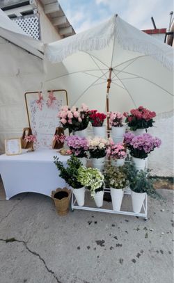 Flower cart bloom bar