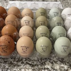 Farm fresh eggs