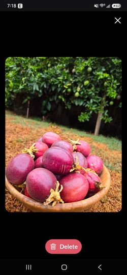 Passion fruit Maracuya $0.75 each. Buy more $10,will be added free small ones.