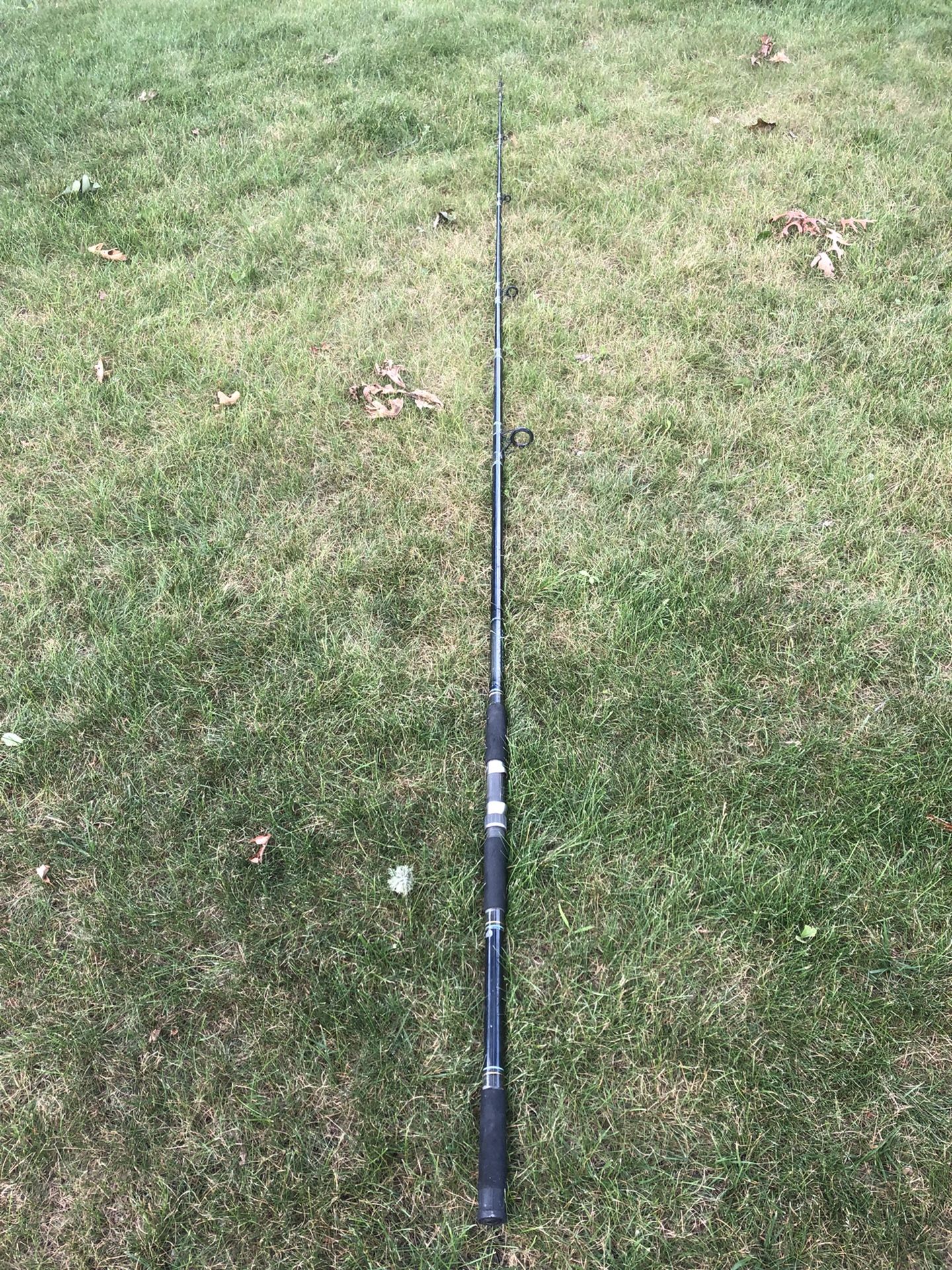 FISHING POLE DAIWA 12 FOOT, 2 PIECE GRAPHITE SURF ROD