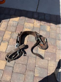 Climbing belts