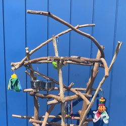 One Of A Kind/ Each Unique ! Parrot Perch Trees … A Must Have For Mr Feathers ! 