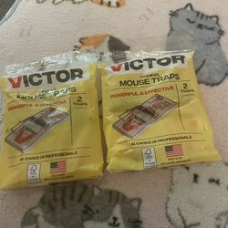 Victor Rat Trap. 